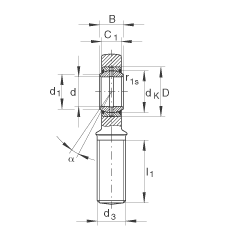 桿端軸承 GAL20-DO, 根據(jù) DIN ISO 12 240-4 標準，帶左旋外螺紋，需維護
